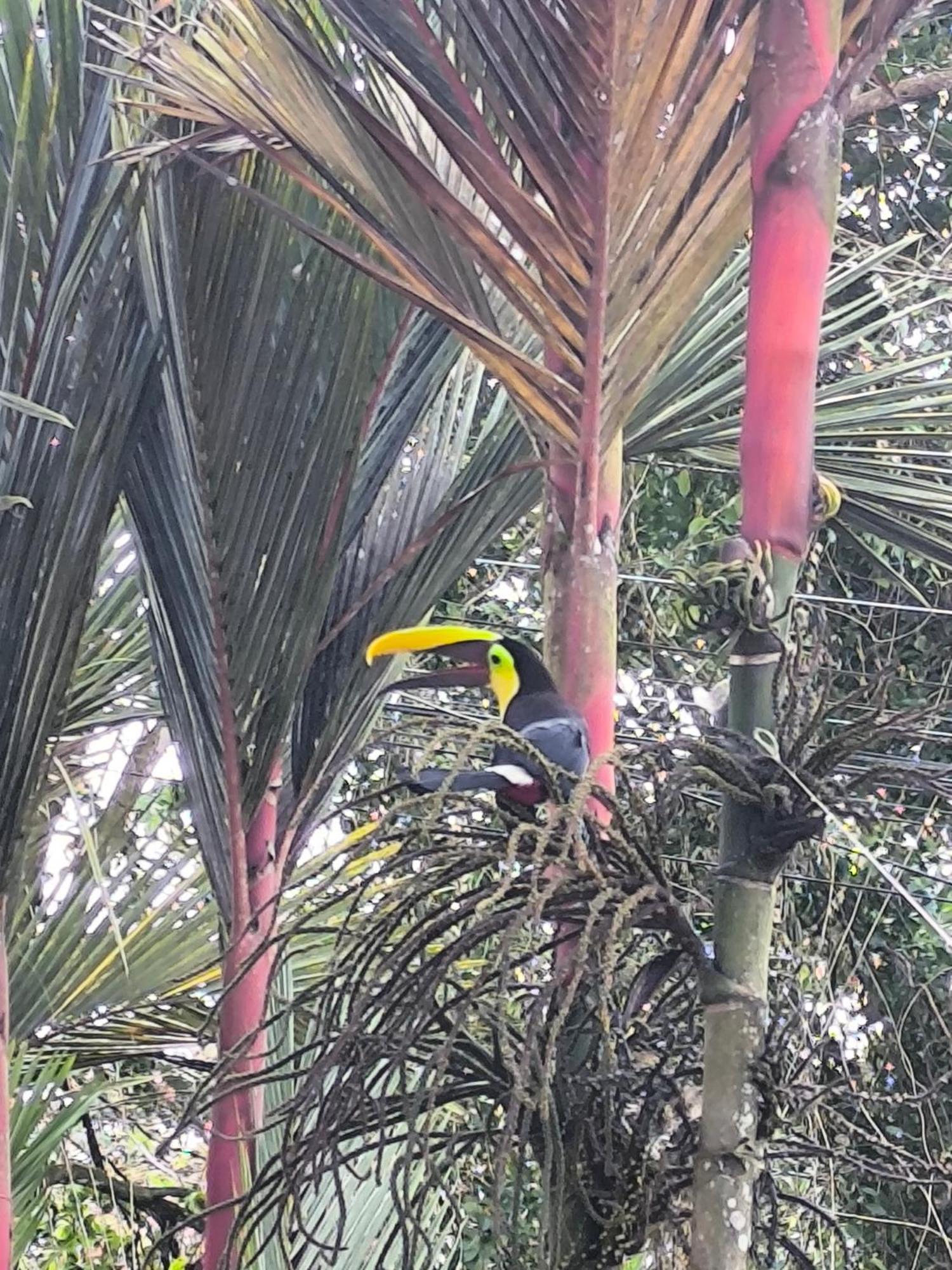 דירות Sarapiquí Casa Sol מראה חיצוני תמונה